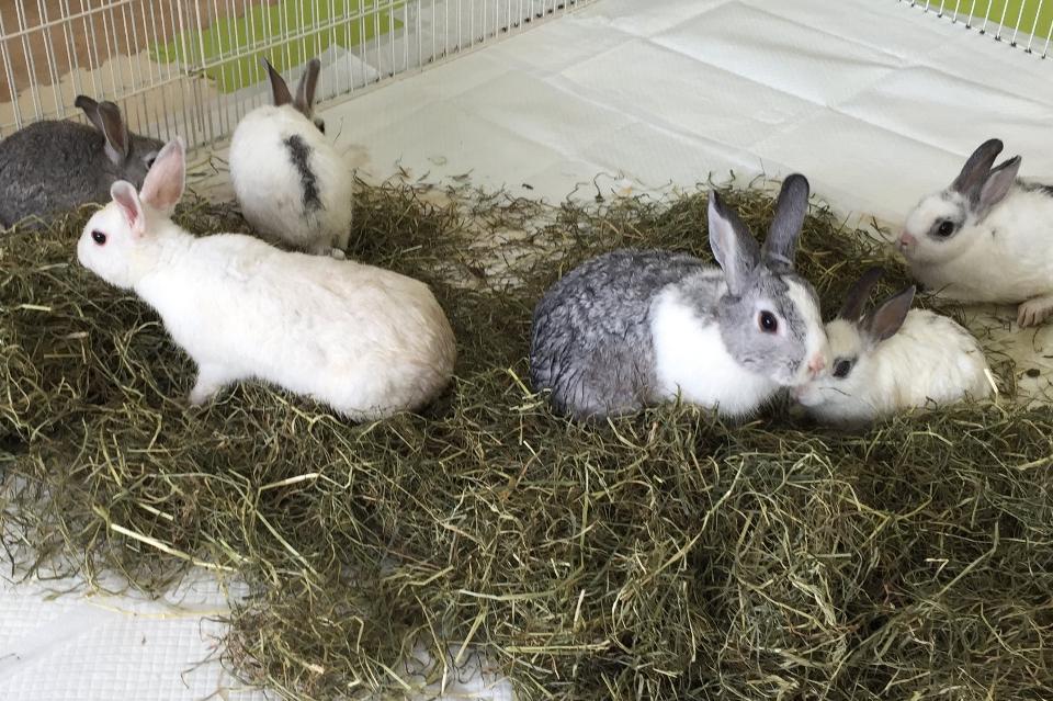 私たちの取り組む課題の画像