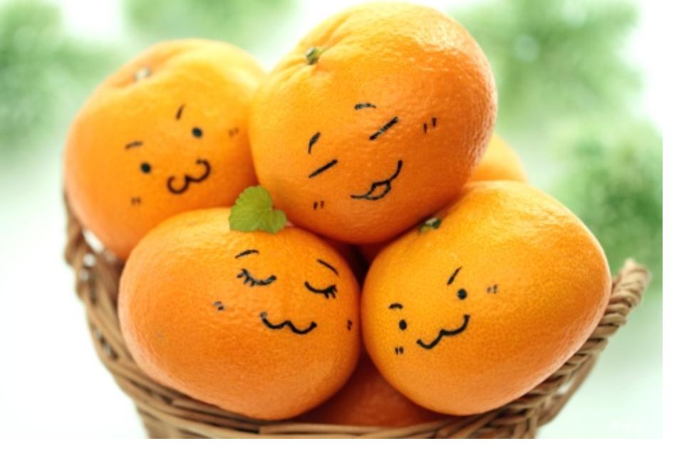 私たちの取り組む課題の画像