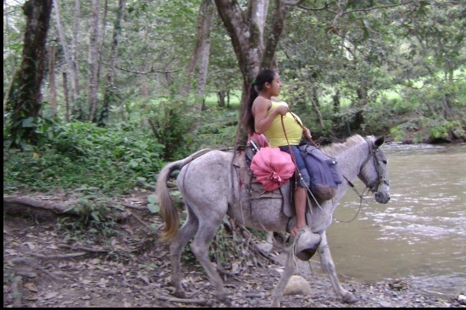 Issues we are working on Image