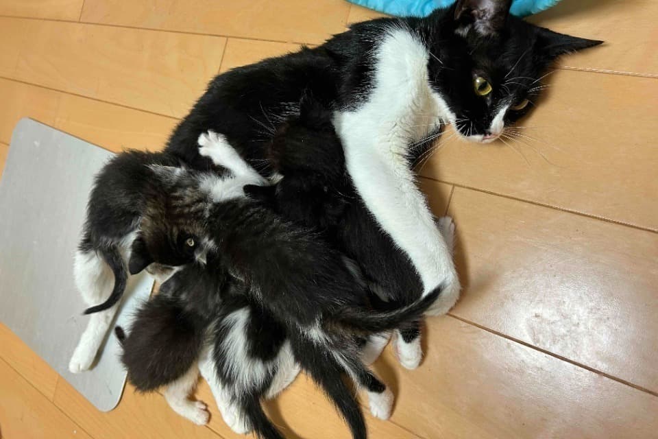 私たちの取り組む課題の画像