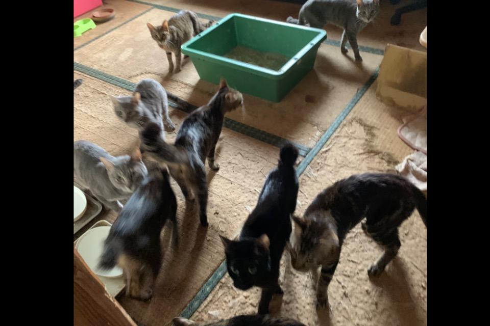 私たちの取り組む課題の画像