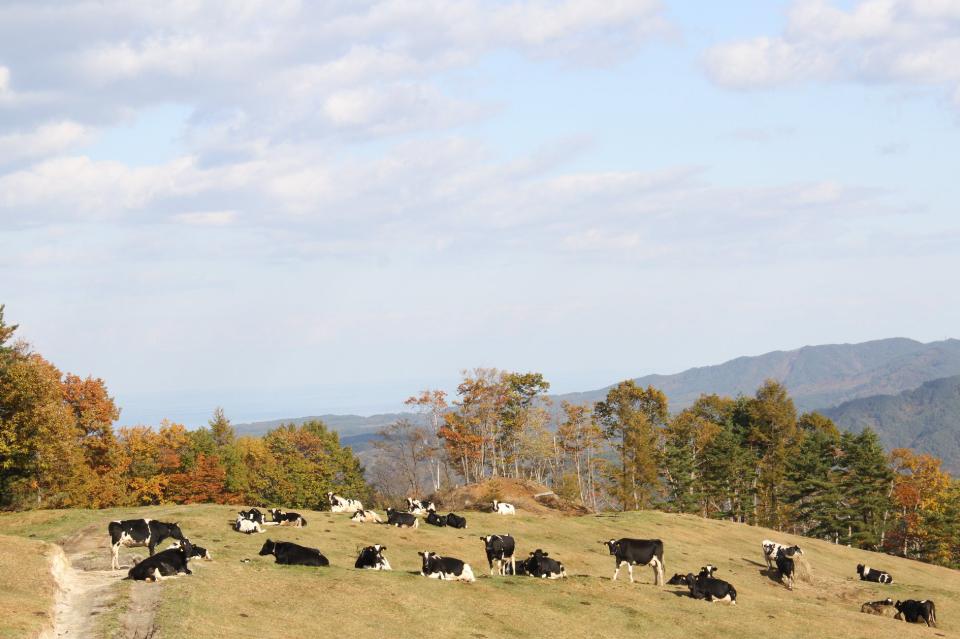 私たちの取り組む課題の画像