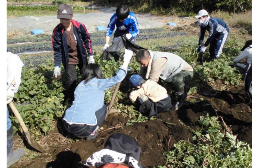 私たちの取り組む課題の画像