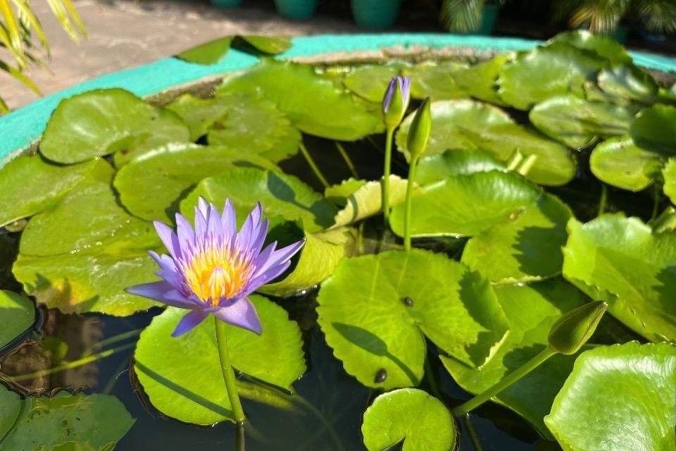 私たちの取り組む課題の画像