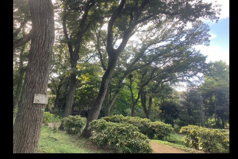 Issues we are working on Image