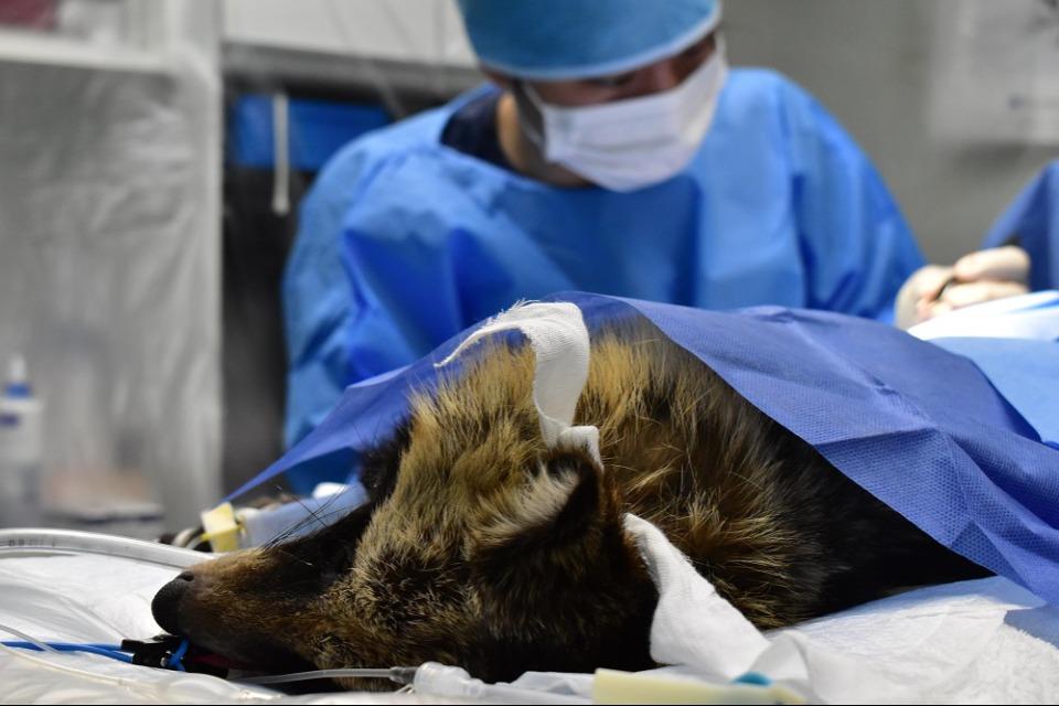 私たちの取り組む課題の画像