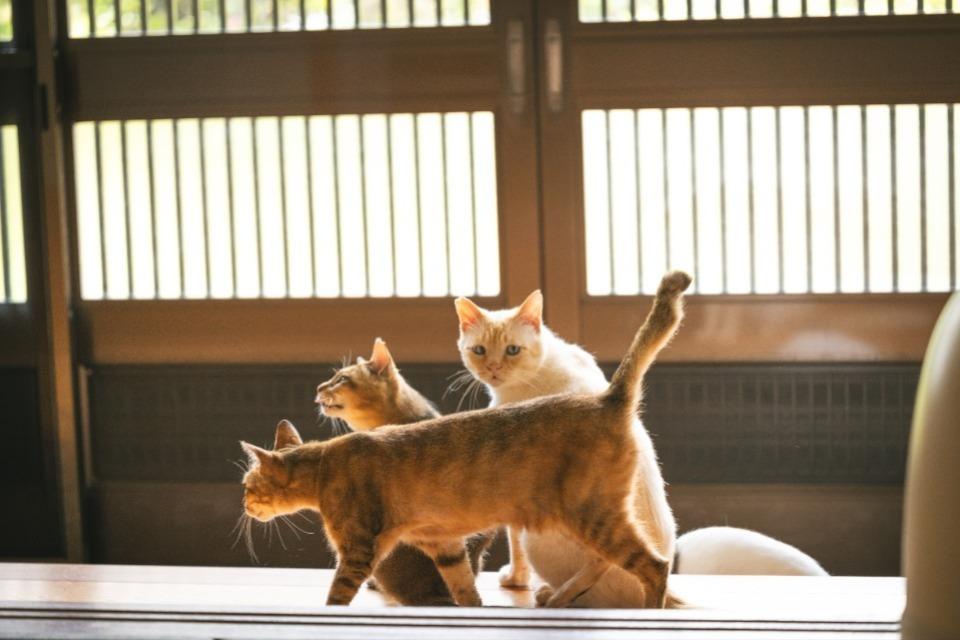 私たちの取り組む課題の画像