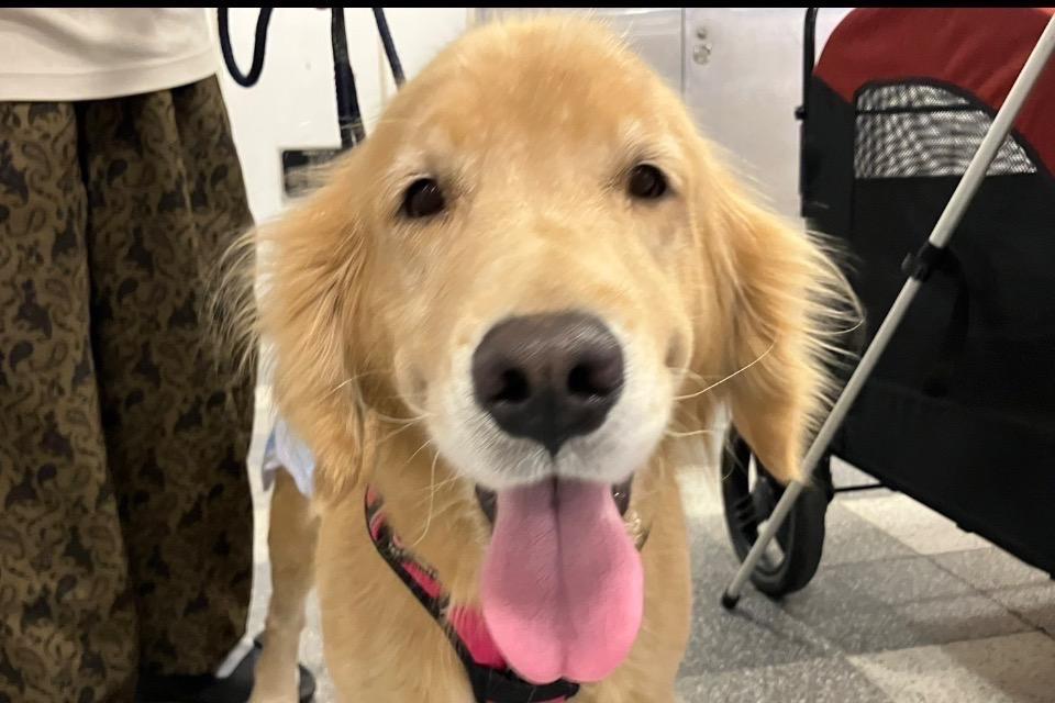 私たちの取り組む課題の画像