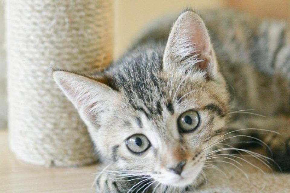 私たちの取り組む課題の画像