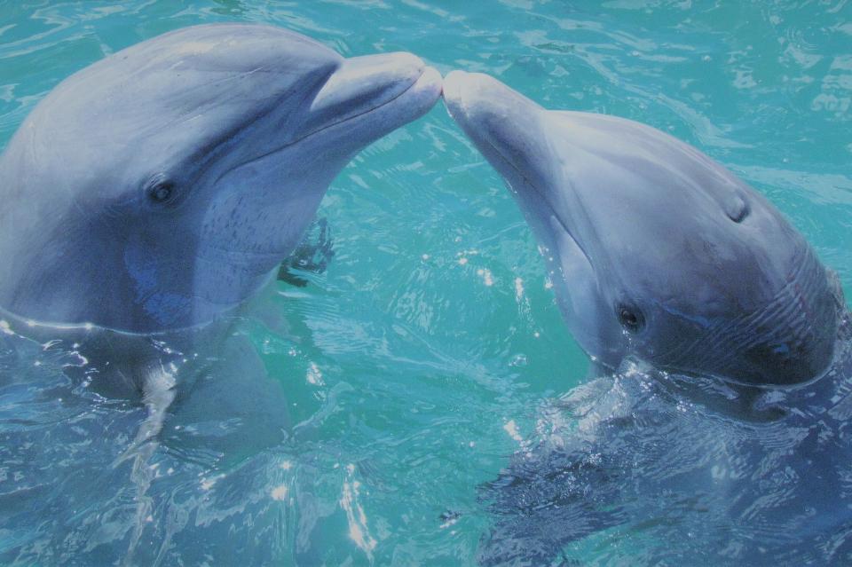 私たちの取り組む課題の画像