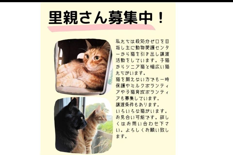 私たちの取り組む課題の画像