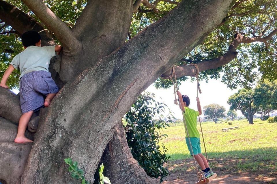 私たちの取り組む課題の画像