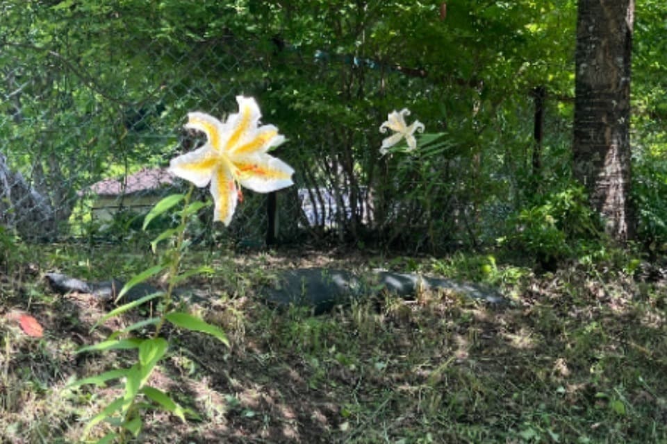 私たちの取り組む課題の画像