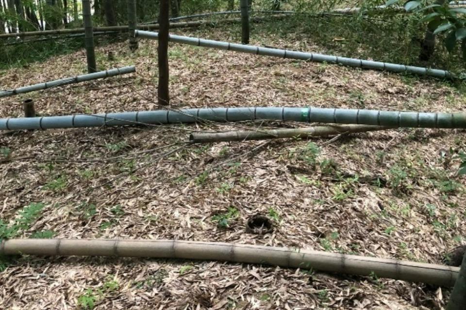 私たちの取り組む課題の画像