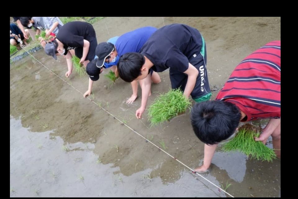 私たちの取り組む課題の画像