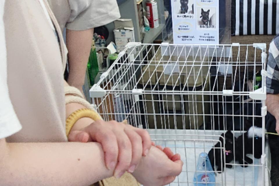私たちの取り組む課題の画像