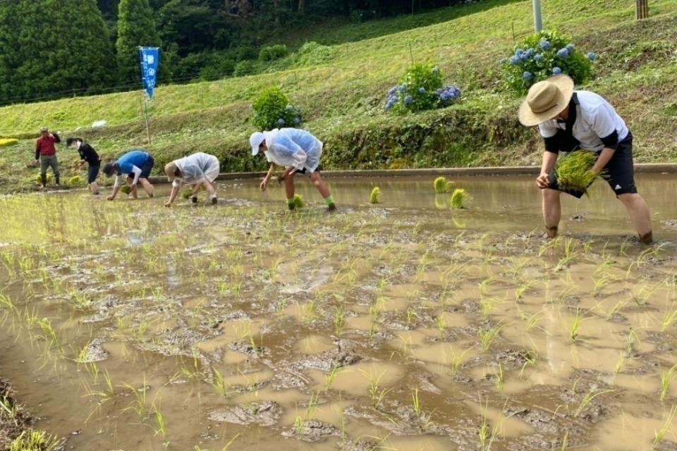 私たちの取り組む課題の画像