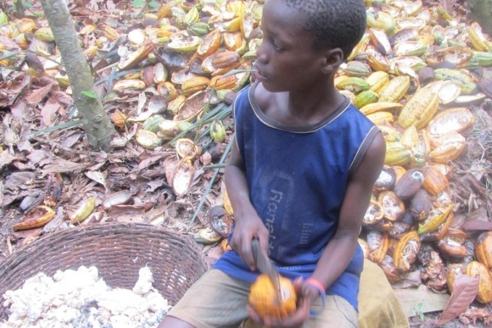 私たちの取り組む課題の画像