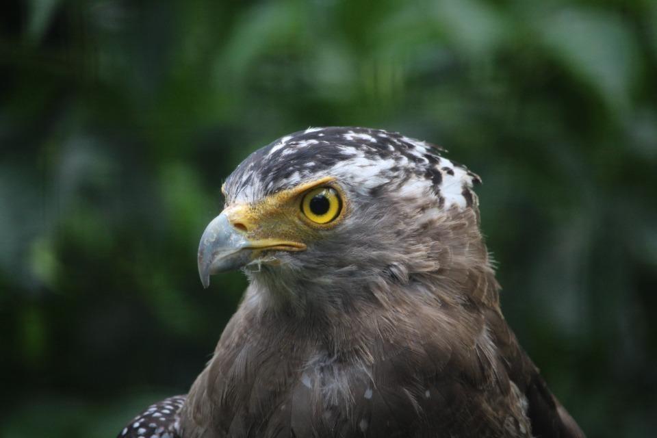 私たちの取り組む課題の画像