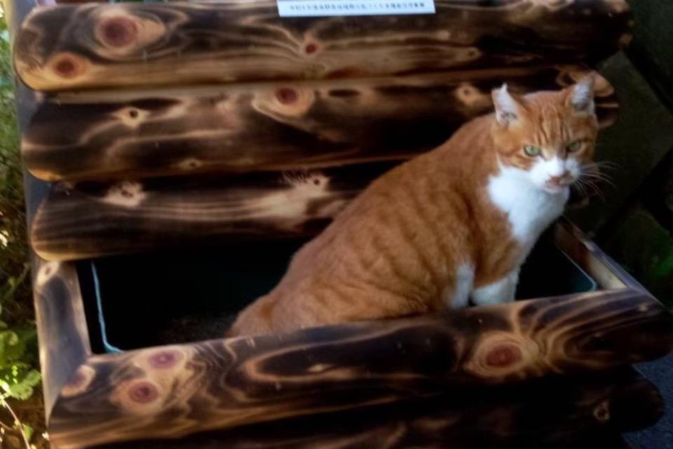私たちの取り組む課題の画像