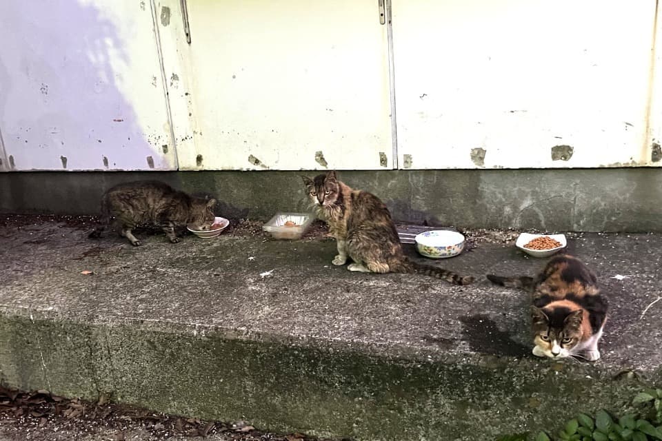 私たちの取り組む課題の画像