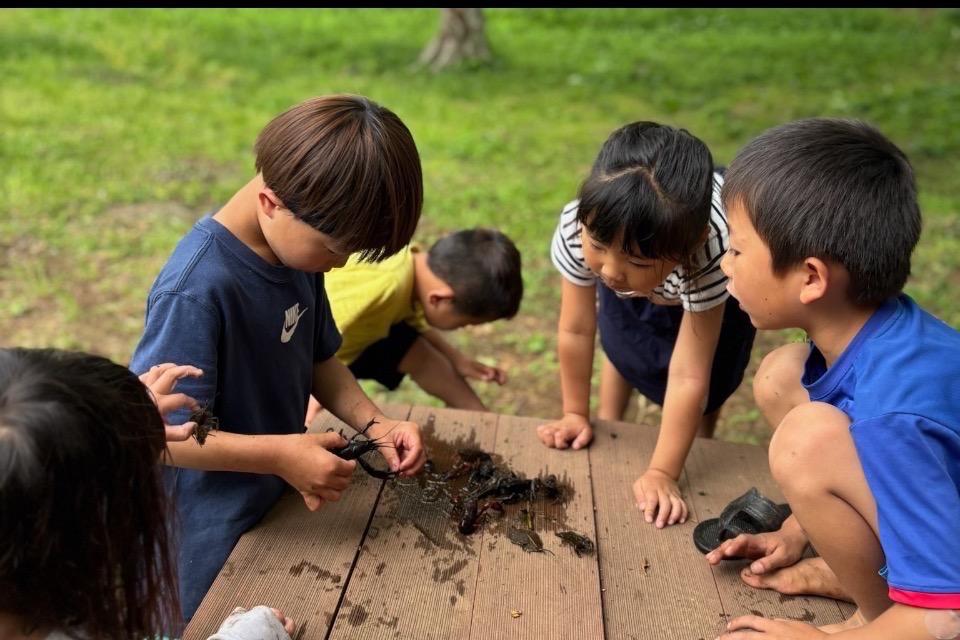 Issues we are working on Image