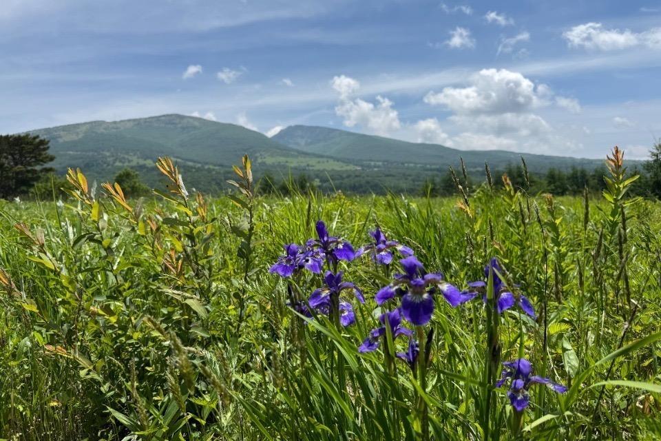 私たちの取り組む課題の画像