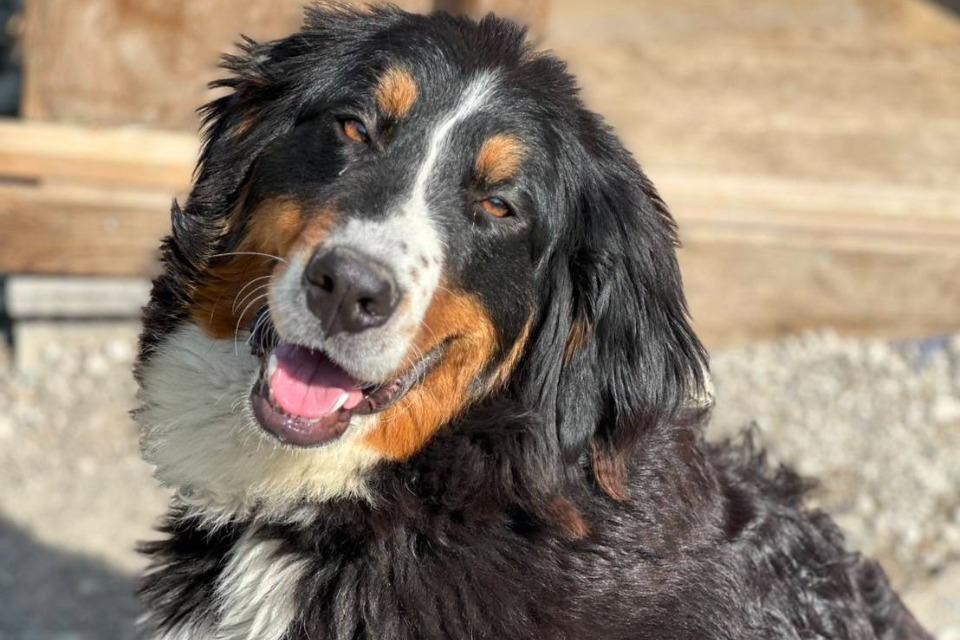 私たちの取り組む課題の画像