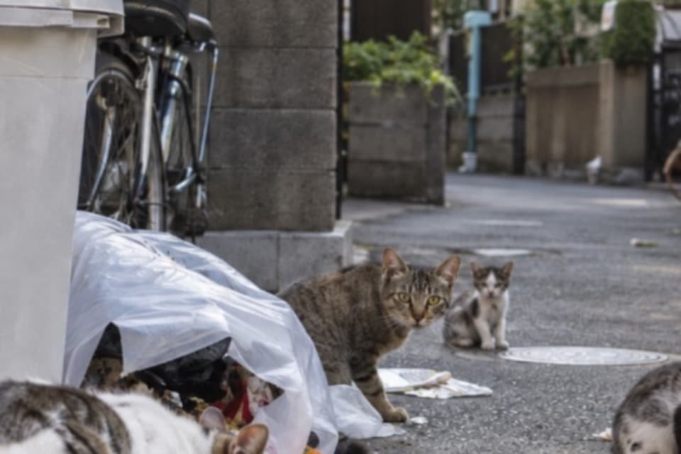私たちの取り組む課題の画像