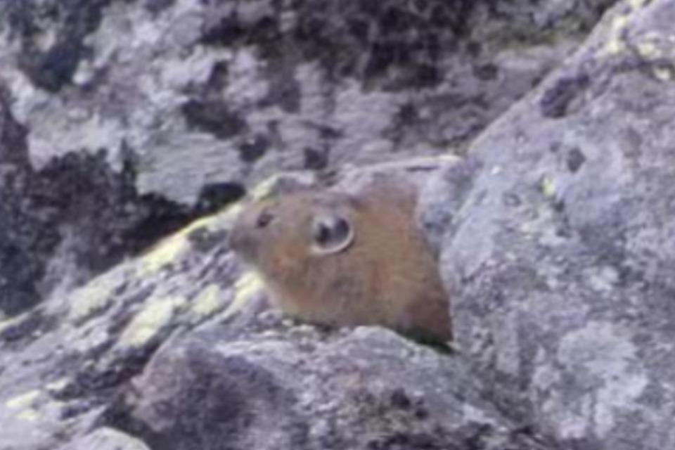 私たちの取り組む課題の画像