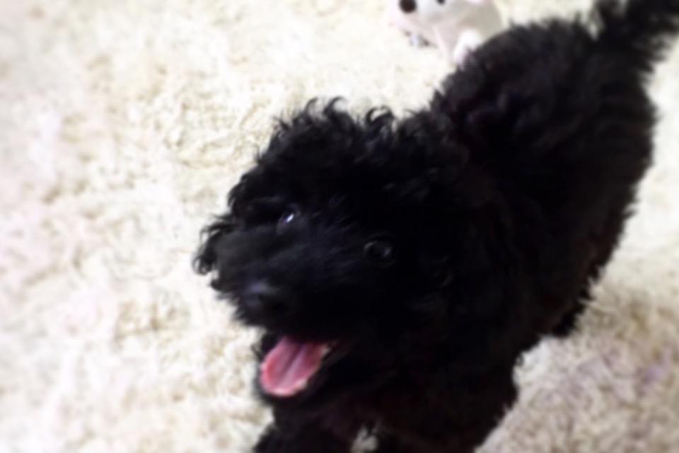 私たちの取り組む課題の画像