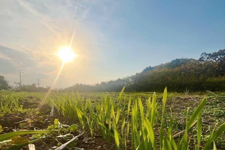 私たちの取り組む課題の画像