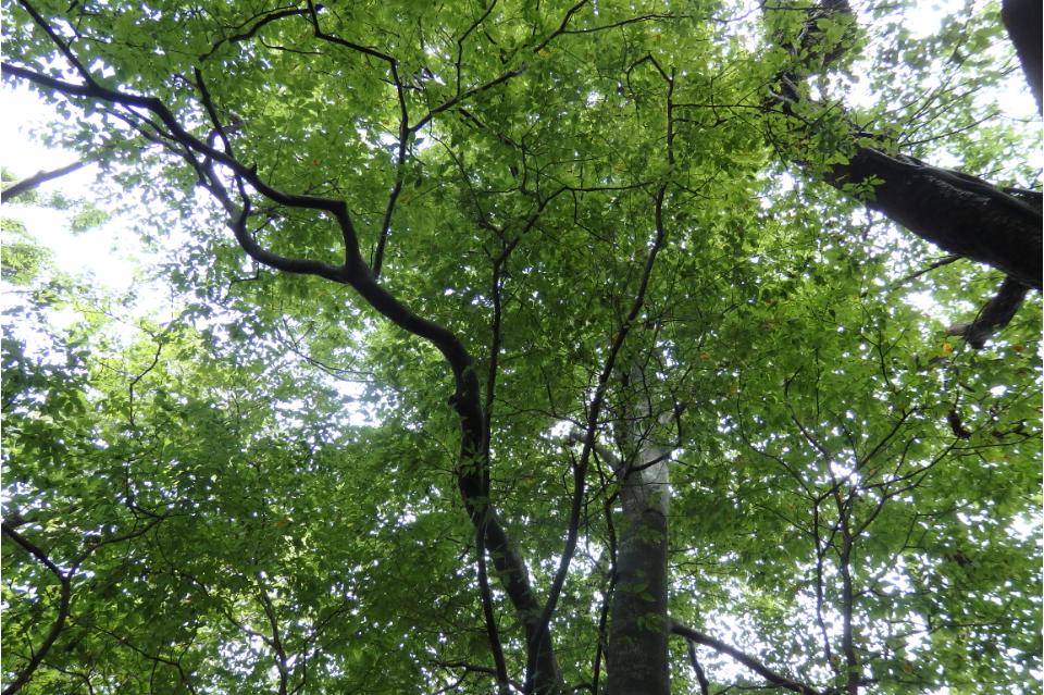 私たちの取り組む課題の画像