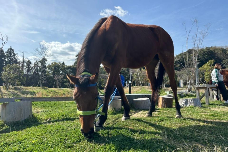 私たちの取り組む課題の画像