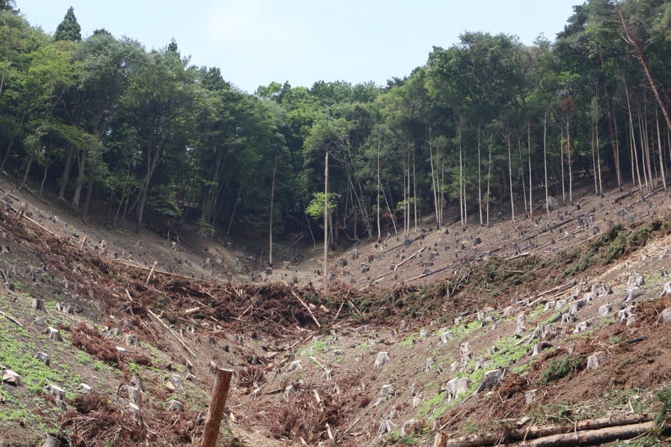 私たちの取り組む課題の画像