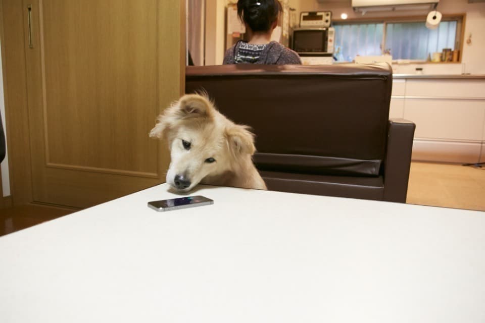 私たちの取り組む課題の画像