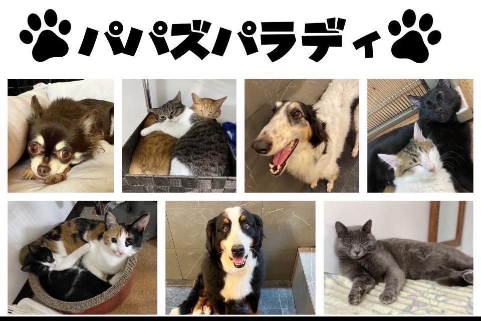 私たちの取り組む課題の画像