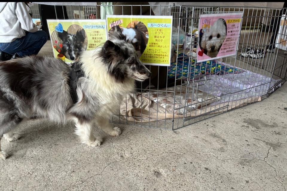 私たちの取り組む課題の画像