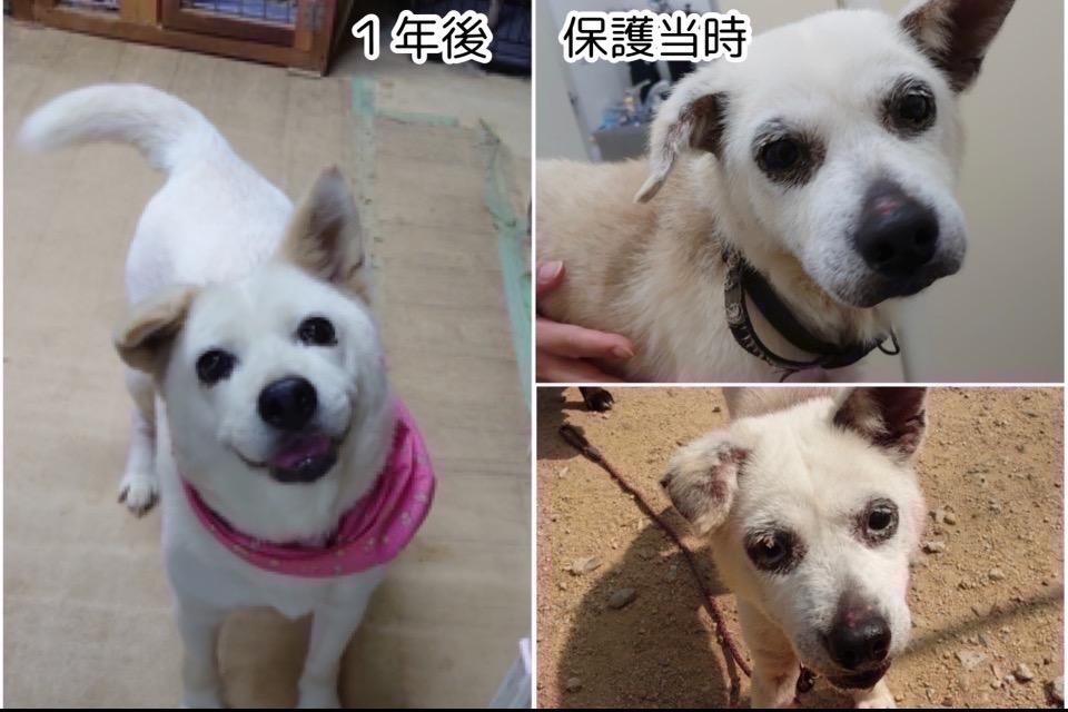 私たちの取り組む課題の画像