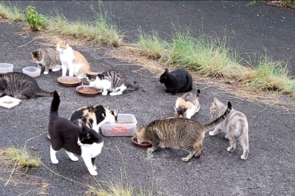 私たちの取り組む課題の画像