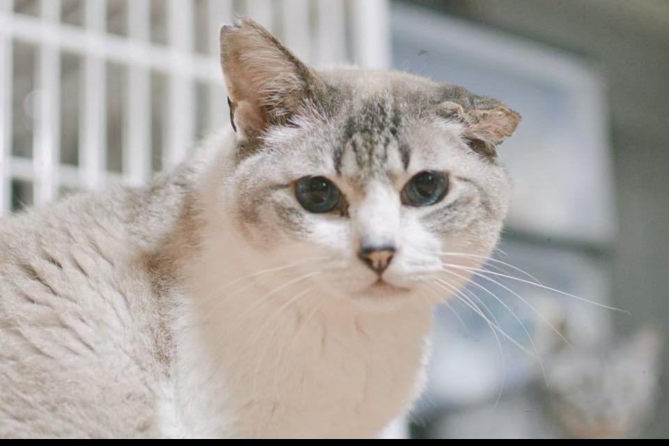 私たちの取り組む課題の画像