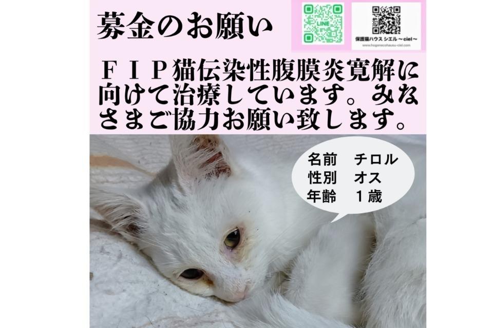 私たちの取り組む課題の画像