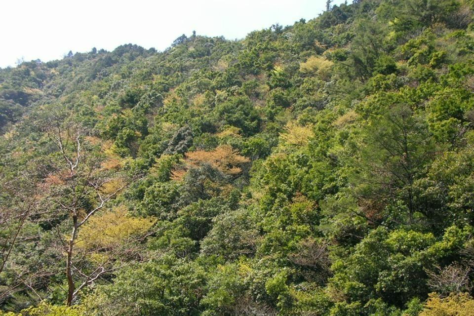 私たちの取り組む課題の画像