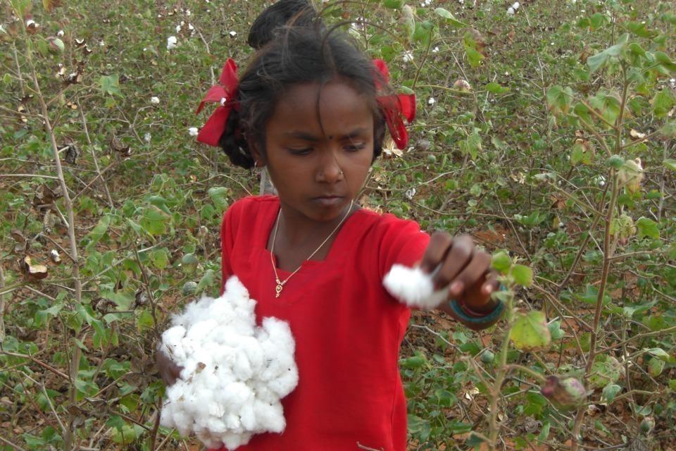 私たちの取り組む課題の画像