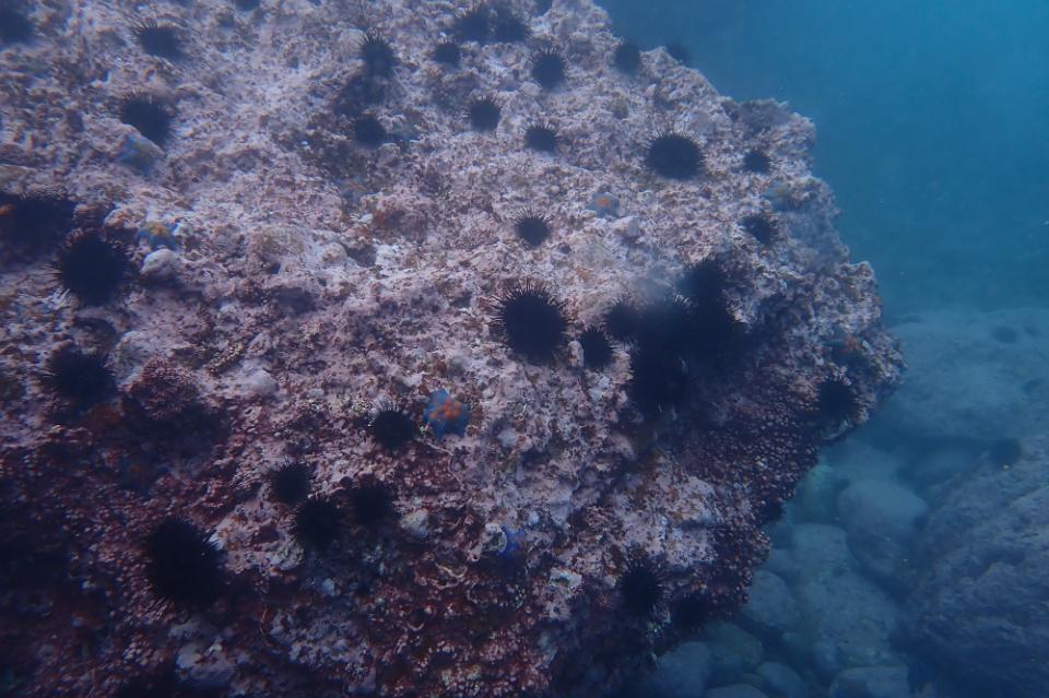 Issues we are working on Image