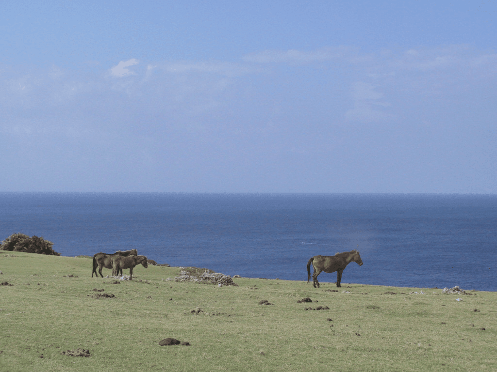 Issues we are working on Image