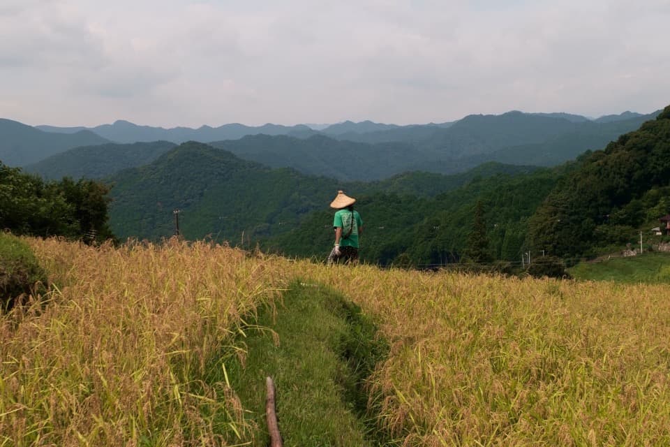 私たちの取り組む課題の画像