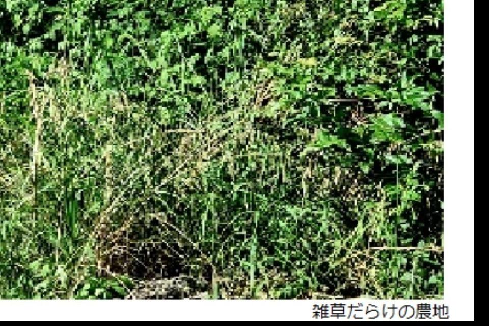 私たちの取り組む課題の画像