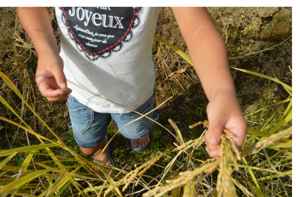 Issues we are working on Image