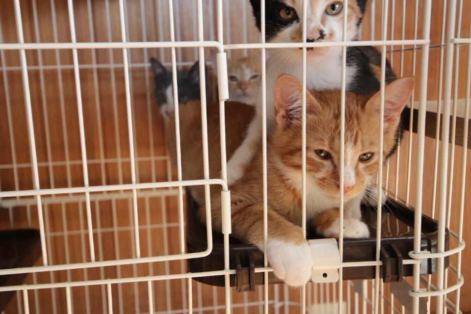 私たちの取り組む課題の画像